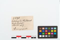 Etikett zu Bronzeringperle (NHMW-PRAE-025198)